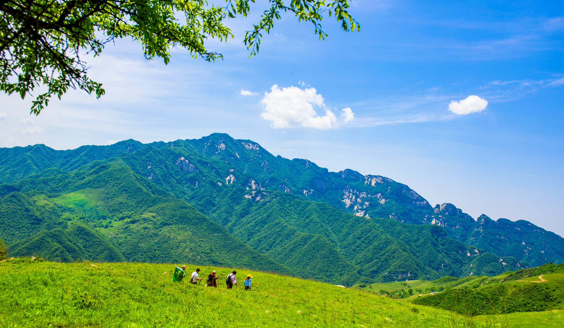 攝圖網_501325512_banner_秦嶺徒步觀大美風光（企業商用）.jpg